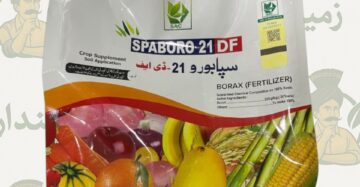 Mycrobor DF 1kg – Boron 20% (Dry Flowable) | Crop Supplement for Foliar & Soil Application | Spaboro 21 DF / Spa Boro