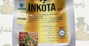 Inkota 4% G – Granular Insecticide for Grub Control in Peanuts | 800g