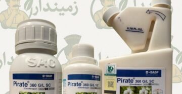 Pirate 360 SC – Chlorfenapyr Insecticide for Thrips | 100ml, 200ml, 500ml