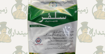 Sulphur 80 WDG 1kg – Fungicide & Plant Nutrient for Crops