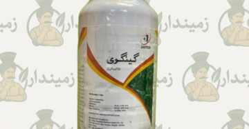 Gingwei 55% SC 1 Liter Insecticide – Effective Control of Sucking Pests