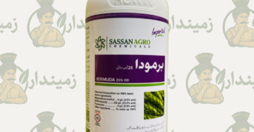 Bermuda 25% OD – Wheat Weed Killer | Post Emergence Herbicide (400–500ml Dose)