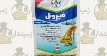 Fipronil 80% WG (Regent) Best Termite Control Solution