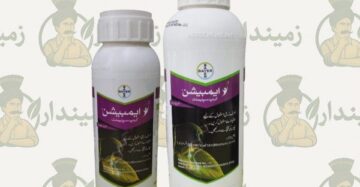 Ambition Crop Supplement 1L/500ml BAYER