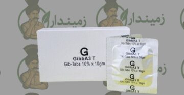 GA₃ Gibberellic Acid Tablet 10% – 10 g Growth Promoter