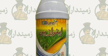 Atrazine 38% SC Herbicide – Pre & Post Emergence Weed Control for Maize